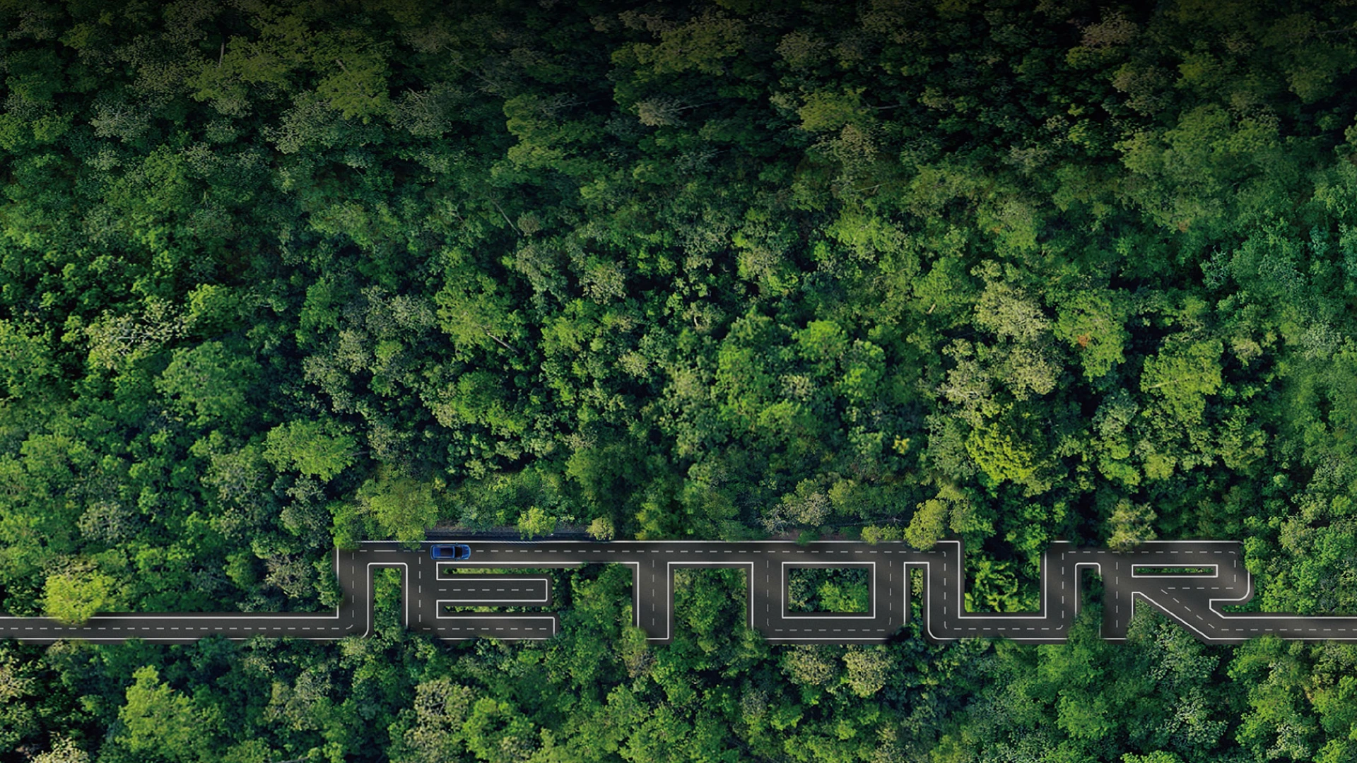 Forest Desktop